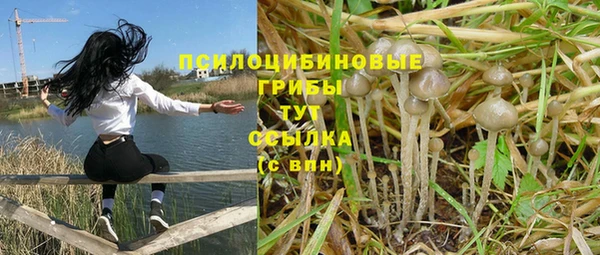стаф Алексин