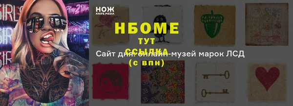 стаф Алексин