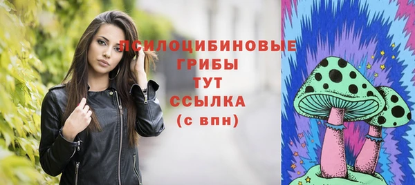не бодяженный Алзамай