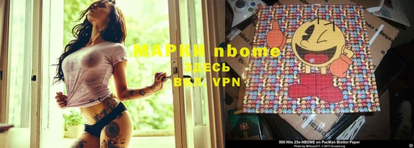 стаф Алексин